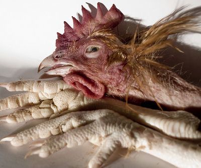 Intermède récréatif