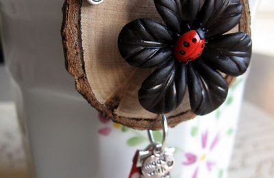 Broche rouge et noire...