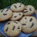 Cookies aux Sarments du Médoc