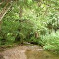 le sanctuaire néolithique des Gorges de l'Auzon