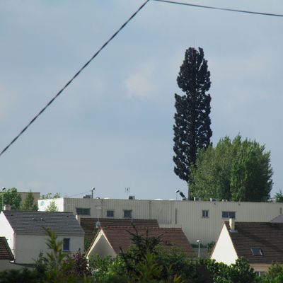 Pas loin de chez moi...