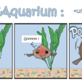 L'aquarium n°8