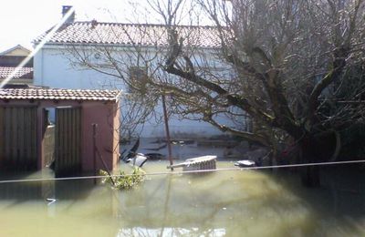 la plage nous protège