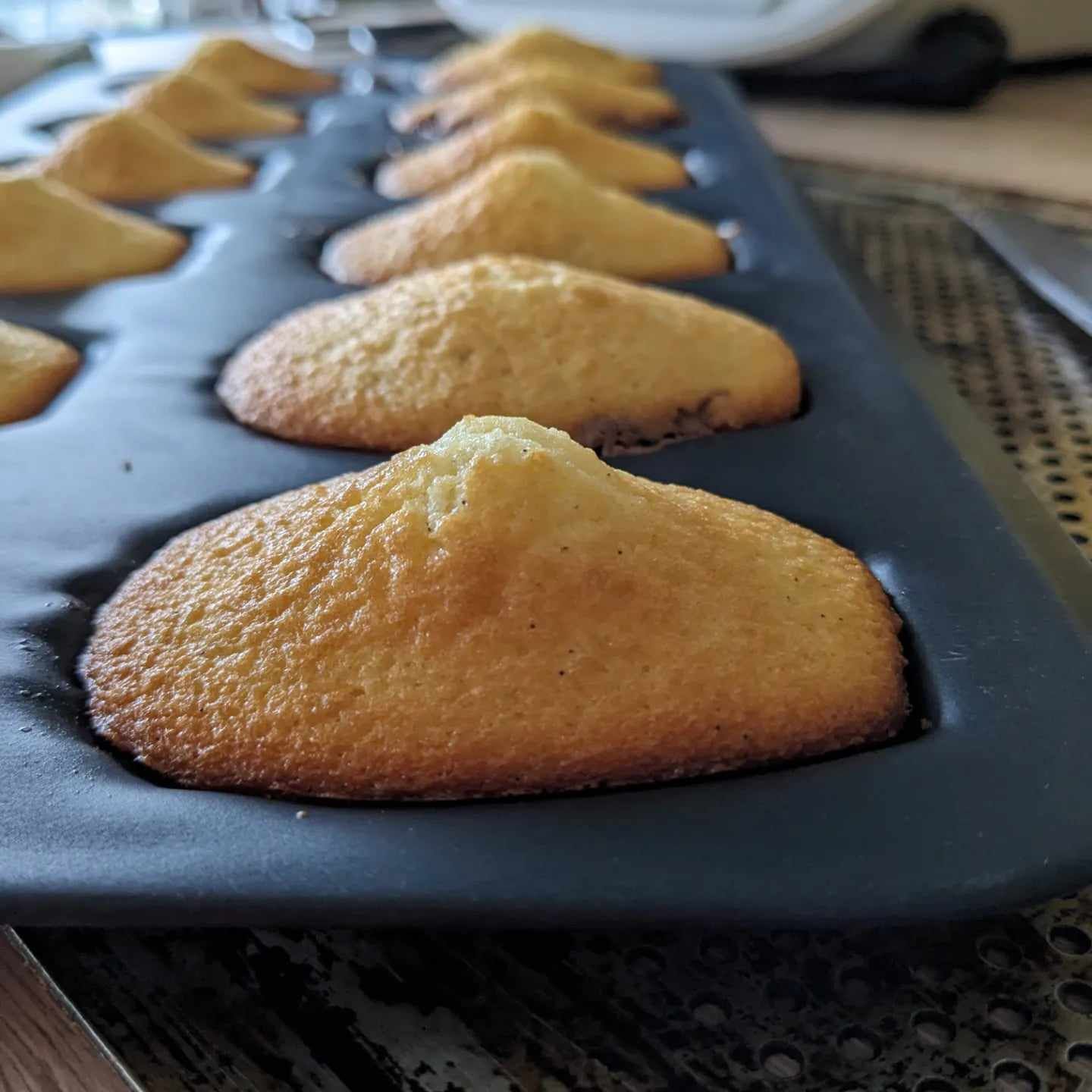 Madeleines Les plats de Véro