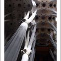 Plafond de la Sagrada Familia