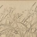 Zhao Mengjian, Narcissus, mid-13th century, Southern Song dynasty (1127–1279)