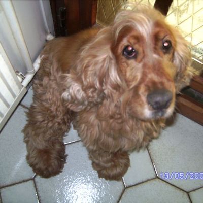 Un adieu... et un nouveau départ!