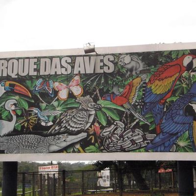Parc des oiseaux #01