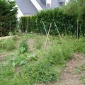 Challenge au potager