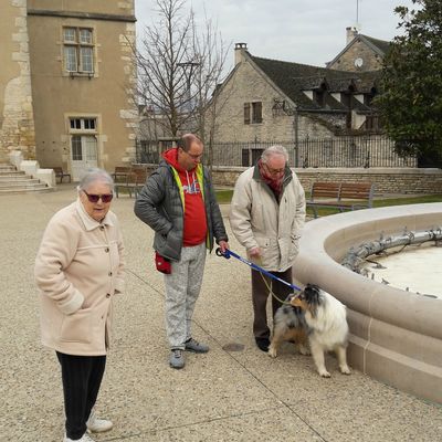 Notre chien visiteur : Scarlett !