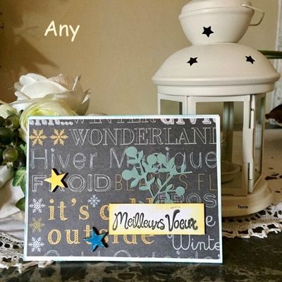 LES CARTES DE VOEUX RECUES