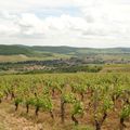 Rallye des vins 