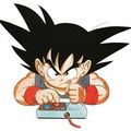 Sangoku fan de jeux vidéo par Toriyama