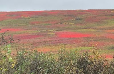 IPE-Îles de la Madeleine