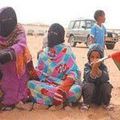 L'Algérie a transformé les camps de Tindouf en un espace d"'illégalité absolue