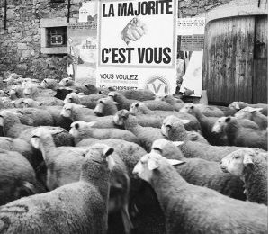 ÇA VA DE MAL EN PIS, COMME DISAIT LA VACHE !!!!