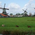 Le village musée du Zaanse Schans