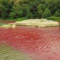 Gard : mais pourquoi l'eau du Gardon est-elle rouge ?