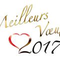 Meilleurs vœux 2017