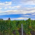 Retour dans le Bordelais, jour 2 (part. 1) : balade matinale à Pomerol