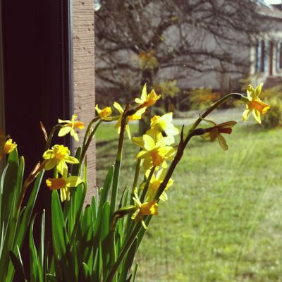 Juste quelques rayons de ☀