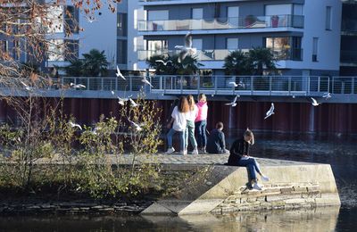 Ressortir à Rennes le 29 novembre 2020 (2))