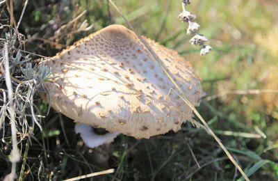 LA PHOTO DU DIMANCHE