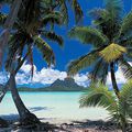 L'organisation du voyage: les bagages avec Air Tahiti et Air tahiti Nui, le décalage horaire, le vol... Tout ça...