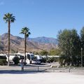 Palm Springs et Joshua Tree Park