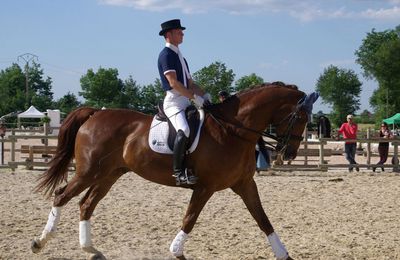 Stage de dressage en Savoie