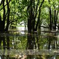 Grands lacs de Champagne !