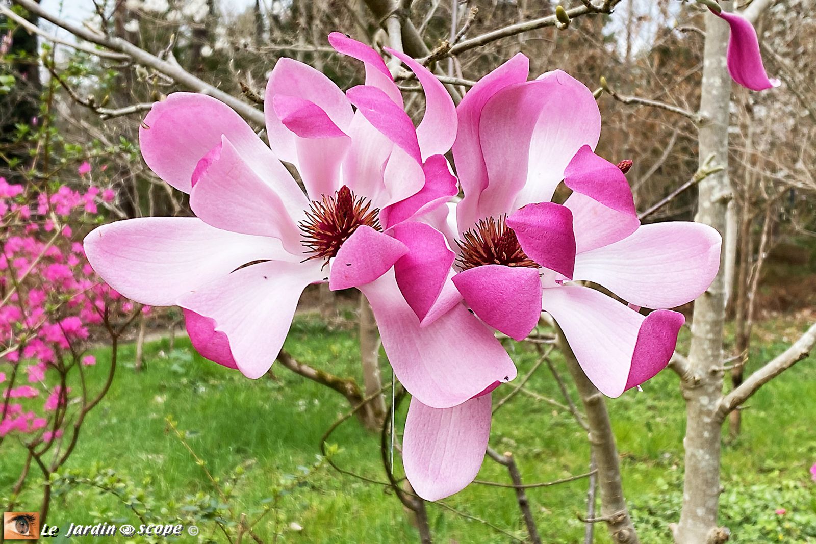 Arboretum Grandes Bruyères