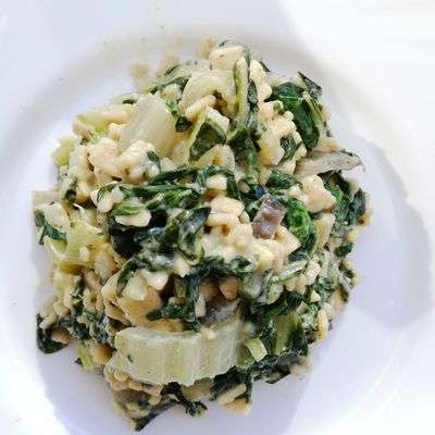 Crozetto aux blettes avec le I Companion Xl