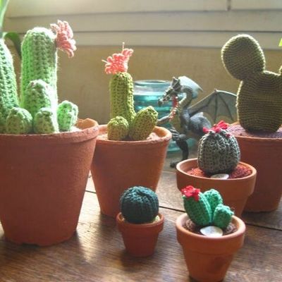 Encore quelques cactus à nouveau j'ai aussi de
