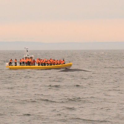 12ème semaine : derniers tours de roues. 
