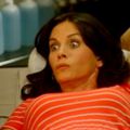 Cougar Town- [1x03]