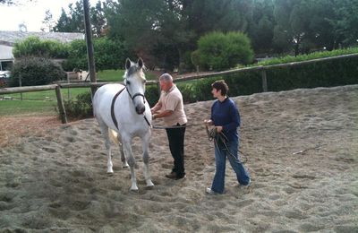 Juin : dressage, véto, saut !