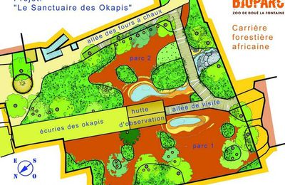 BioParc de Doué-la-Fontaine : le plan du «sanctuaire» des okapis» dévoilé