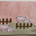 Carte d'anniversaire Petits cochons