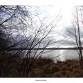 Etang de Paimpont en Brocéliande