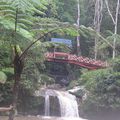 La Malaisie, Cameron highland!!