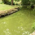 Pollution dans une rivière qui traverse les jardins de la préfecture du Morbihan ?