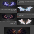 Profil de chaque ailes 