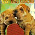 l'amour