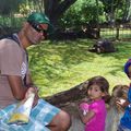 4 ème jour aprés-midi: Sortie au zoo de Waikiki