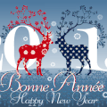 ★•°*”˜”*°•★Bonne année 2013★•°*”˜”*°•★