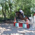 Chevaux, parcours cavaliers sous le soleil