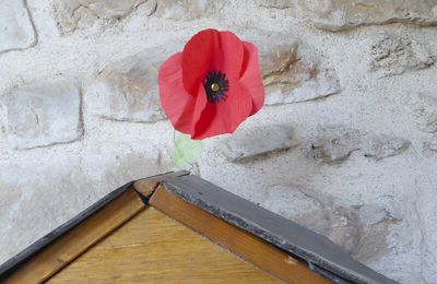 Coquelicots et Livres en Liberté !