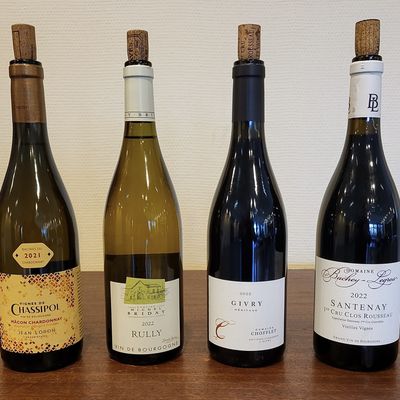 Vins dégustés en avril 2025