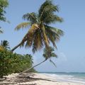 Anse à prune, côte Sud